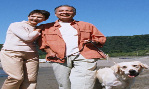 健康への影響